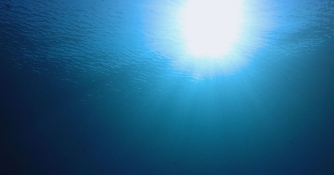 Bahrain-shifts-judicial-announcements-to-Sijilat Bahrain-shifts-judicial-announcements-to-Sijilat