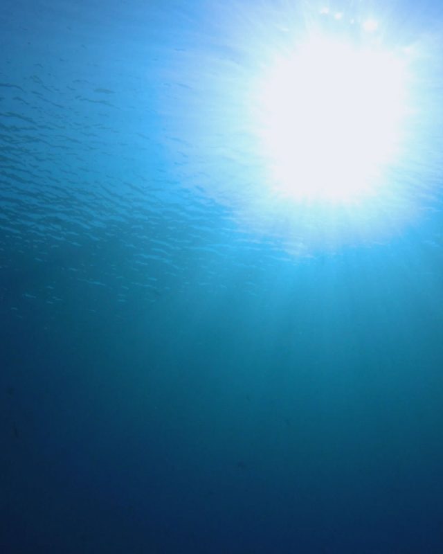 Bahrain-shifts-judicial-announcements-to-Sijilat