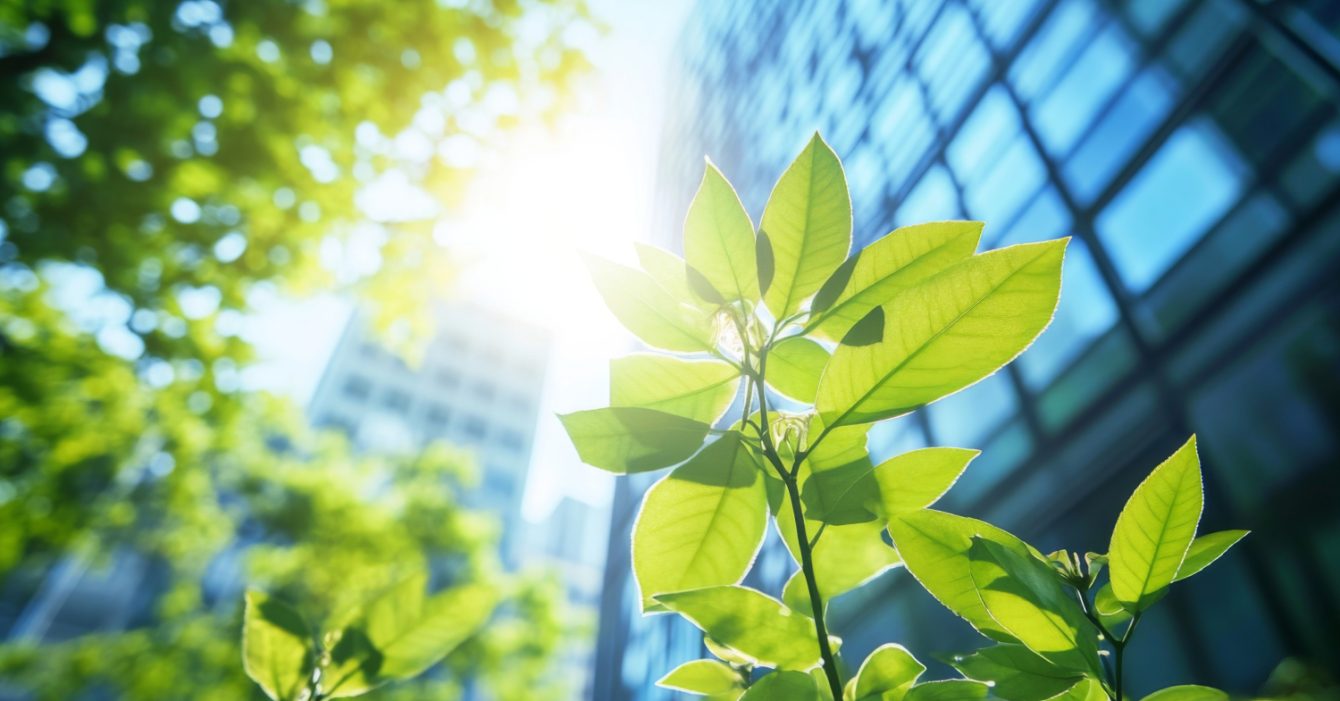 Emerging-Companies-Market