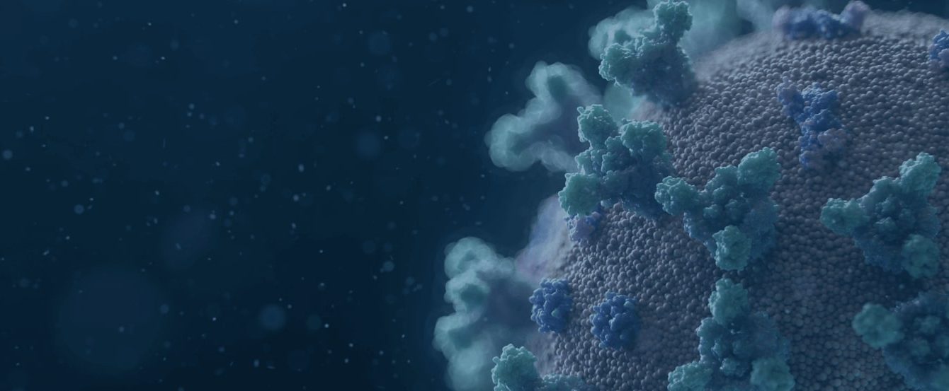 Mailer-Banner-1 Mailer-Banner-1