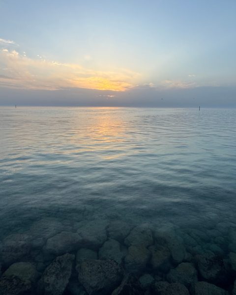 asar-bahrain asar-bahrain