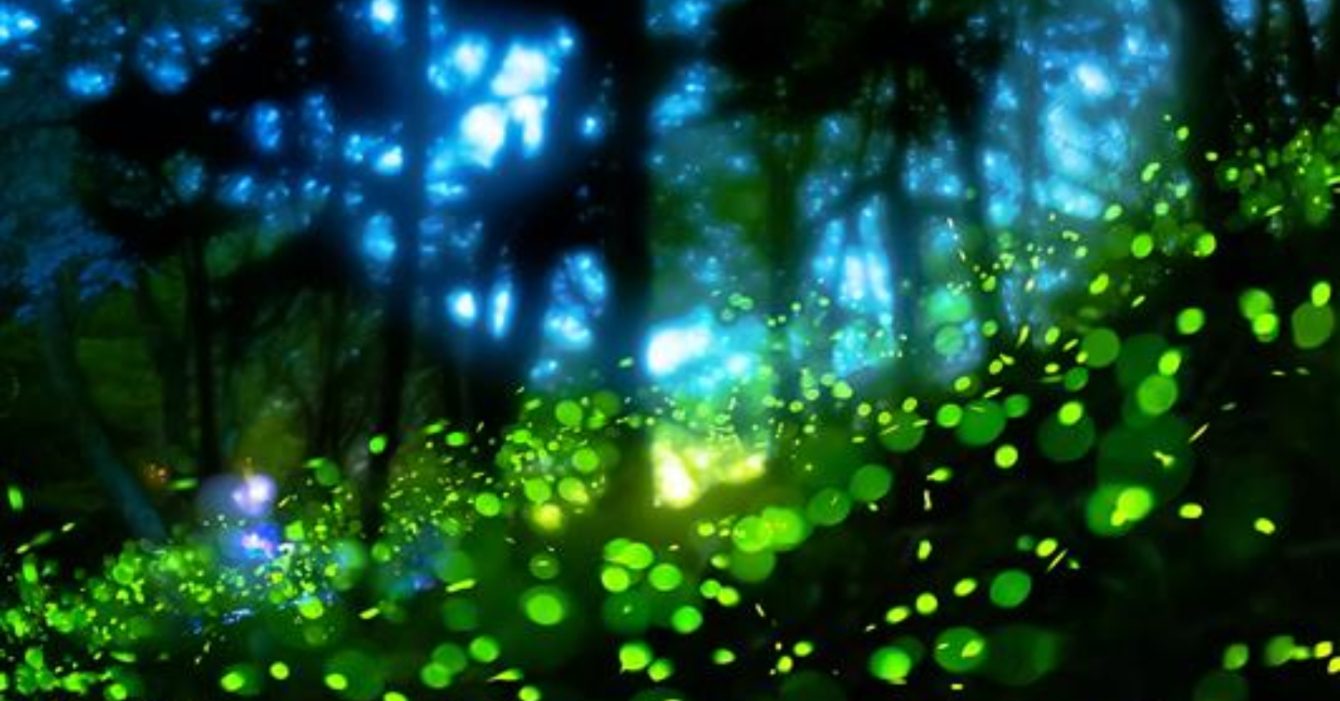 chamber-middle-east-awards-bahrain