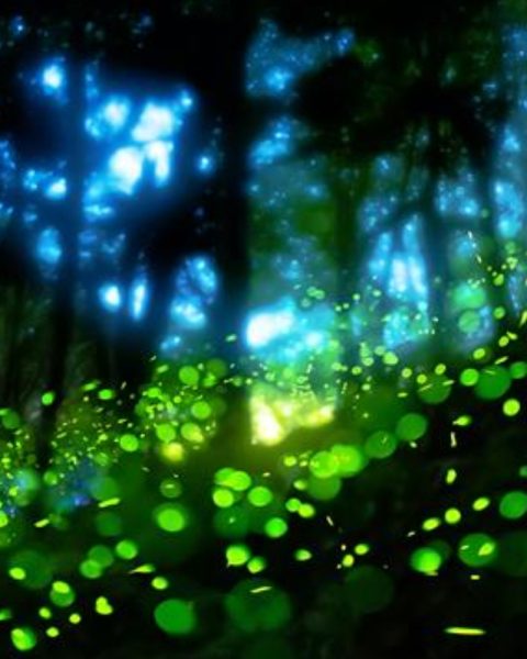 chamber-middle-east-awards-bahrain chamber-middle-east-awards-bahrain