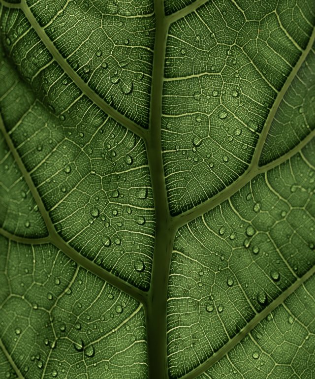 e2487008c767140fbdb62362f2d61f4a e2487008c767140fbdb62362f2d61f4a