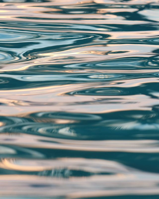 shutterstock_1621565833